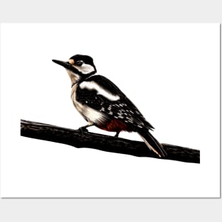 Great spotted woodpecker Posters and Art